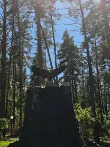 Лесная сказка - 44