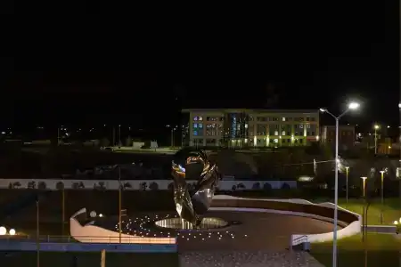 Полярник - 30