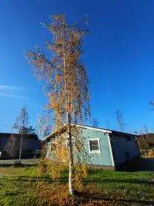 Чё, по шхерам? - 27