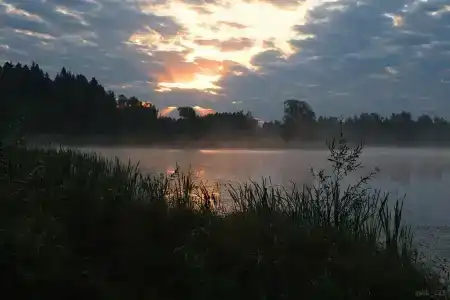 Эко-ферма Ваньково - 74