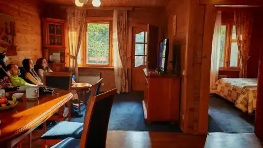 Лада Holiday - 50