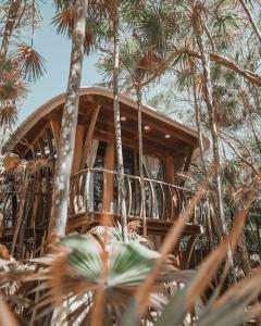 Papaya Playa Project - 13