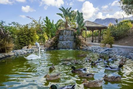 Merit Crystal Cove Casino & Spa - 10