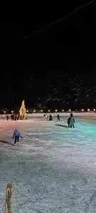Сова - 5