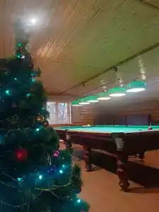 Соловей - 34