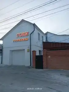 Гоби - 3