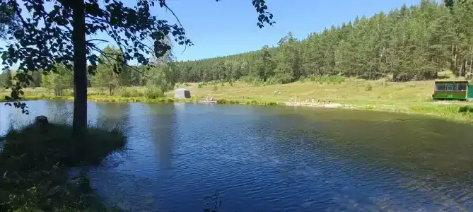 SunCity-Иней - 6