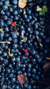 Глэмпинг Гиперборея - 83