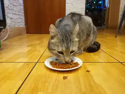 Суванто - 14
