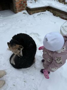 Васильевка - 64