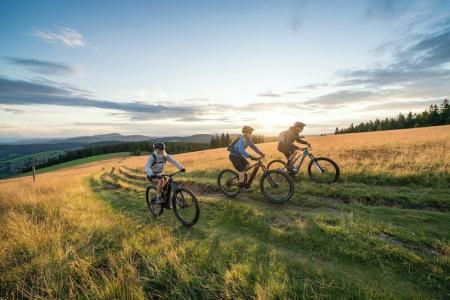 Das Wald- Genuss & Wellness am Notschreipass - 12
