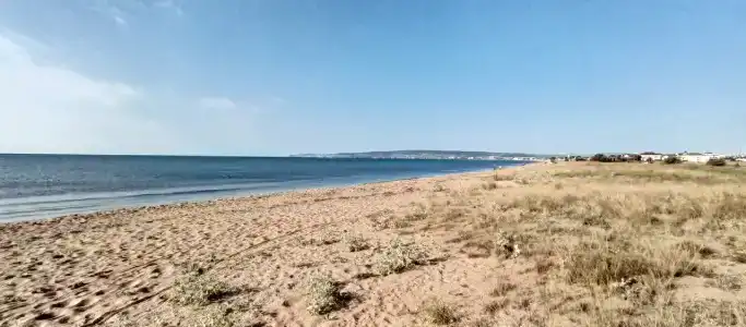 Лукоморье - 13