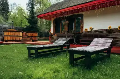 Гуси-Лебеди - 33