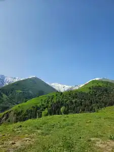 Кармадон - 15