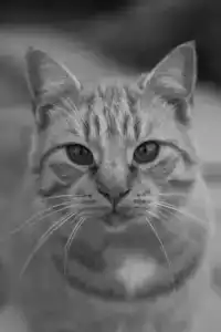 Мир Маяков - 84