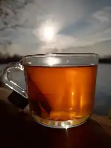 Полянка - 43