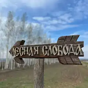 Лесная Слобода - 1