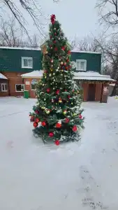Дубрава - 12