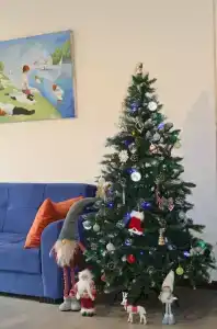 Holiday - 26