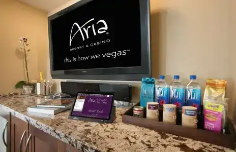ARIA Resort & Casino - 12