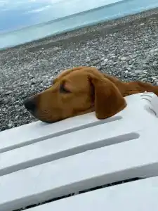 Riva Del Mare - 22
