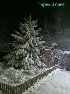 Усадьба - 30