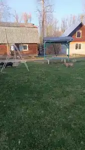 У Ручья - 47