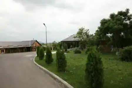Полевой Стан - 43
