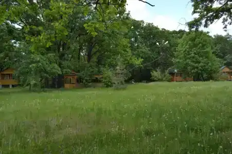 Светлячок - 11