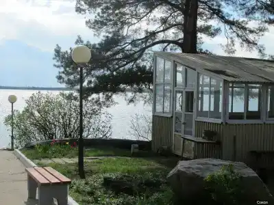 Сокол - 8