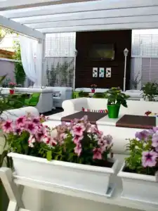 Flowers - 6