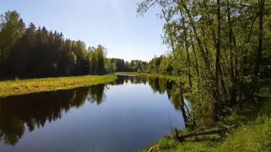 Дом на Селижаровке - 1