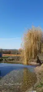 Ширванкаlife - 38