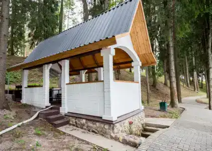 Серебряный родник - 43