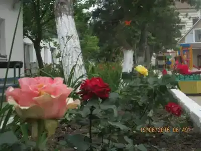 Уют - 10