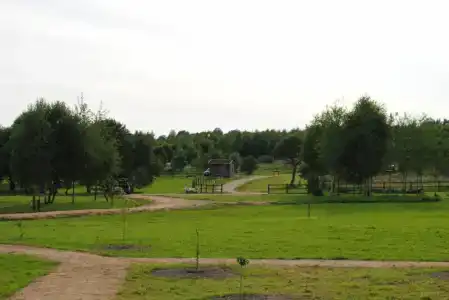 Емельяново - 75