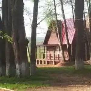 Усадьба в Тёсово - 18