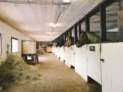 ХвояХутор - Казачий Курень - 9