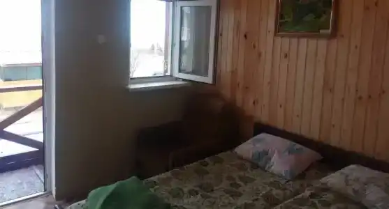 Золотой слон - 27