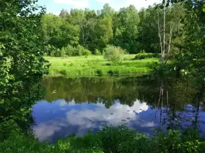 Теремки - 0