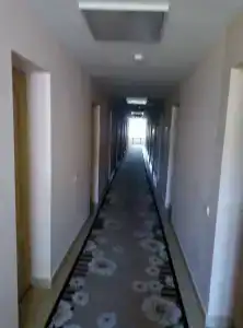 Беловежская пуща. №2 - 45