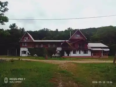 Тут Здорово - 31