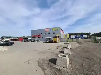 Улей - 5