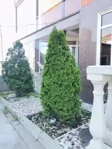Well Hotel - 35