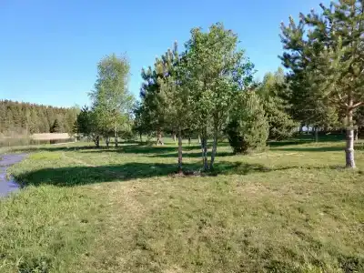 Три Берега - 94