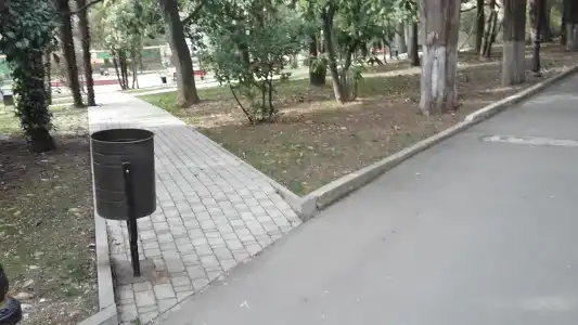 Хоста - 21