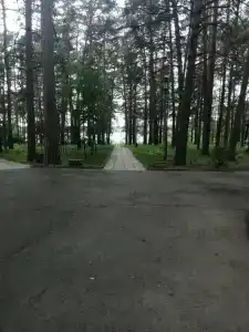 Колос - 17