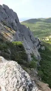 Секвойя - 16