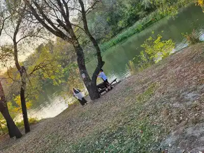 Простоквашино - 34