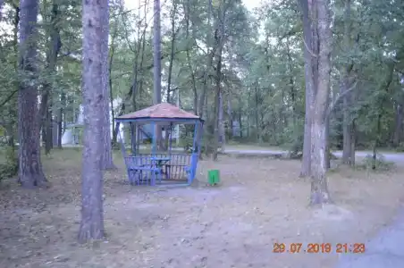 Белое Озеро - 79